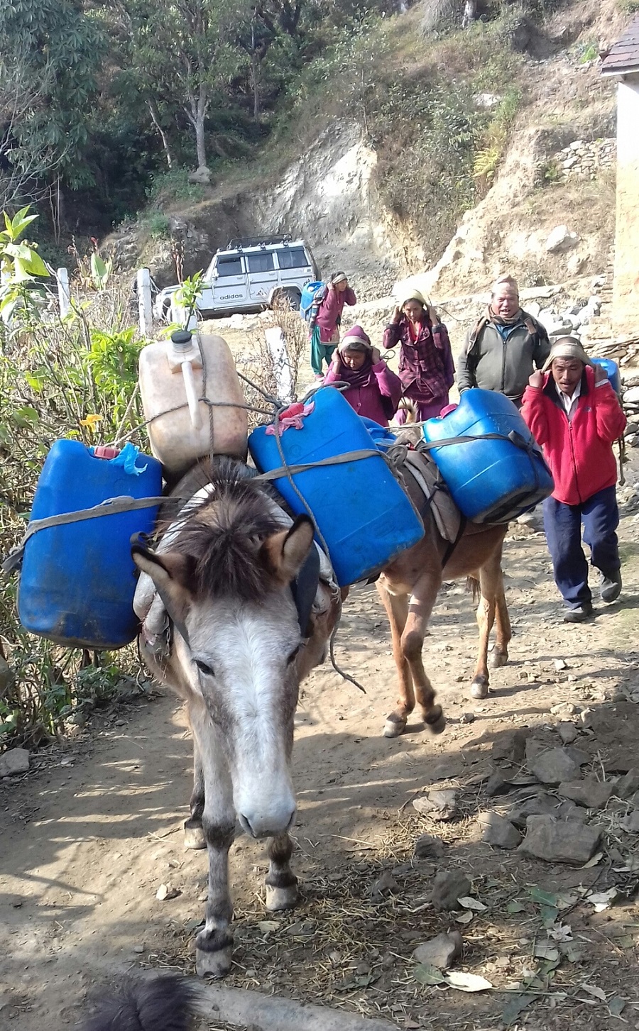 आलेख : दूधमा आत्मनिर्भर बन्यो काभ्रे   